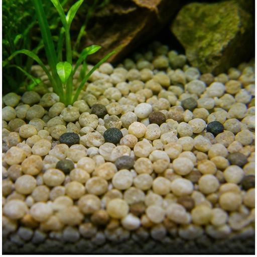 Акваріумний ґрунт arrondi dans un aquarium