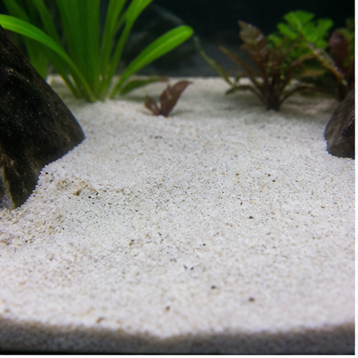 Акваріумний ґрунт clair dans un aquarium