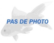 Copella arnoldi Характер