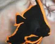 Platax pinnatus Червоний шау-...